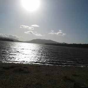 Meet your Posher, Simone